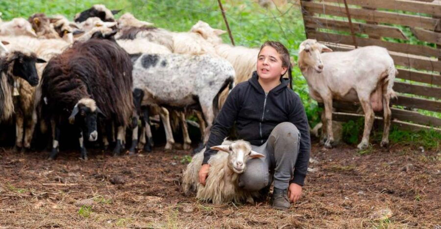 Arzana: Day With a Shepherd W/ Lunch in a Farm - Good To Know