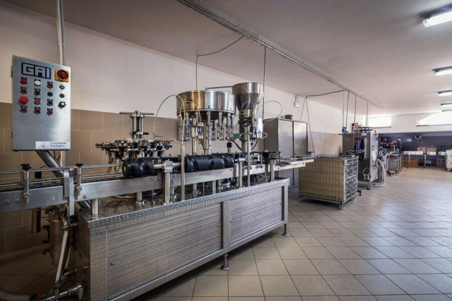 Assisi: Organic Winery Tour With Tastings & Typical Food - Good To Know