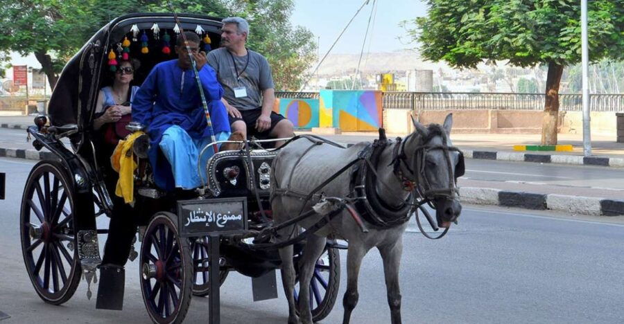 Aswan: Private Horse & Carriage City Tour With Hotel Pickup - Good To Know