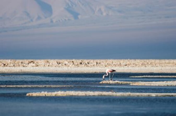 3 Best 4 Day Tours In Calama
