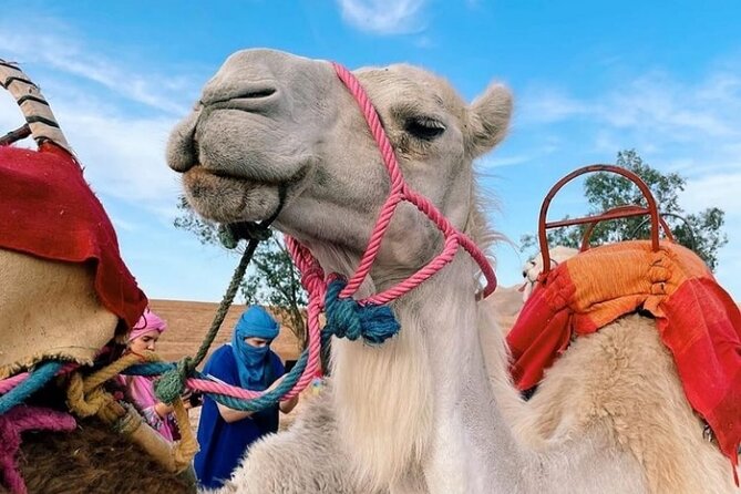 Atlas Bound: Marrakechs 5 Valleys Expedition - Overview of the 5 Valleys Expedition