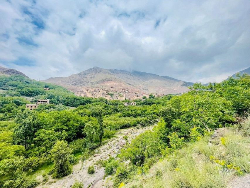 Atlas Day Trip and Berber Villages