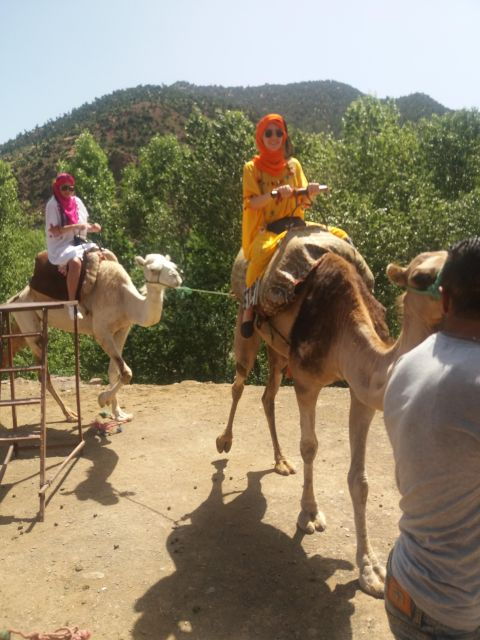 Atlas Mountain and Berber Villages Day Tours From Marrakech - Good To Know