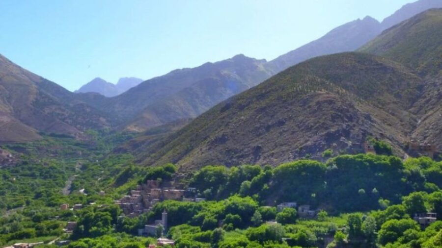 Atlas Mountain & Three Valleys Waterfalls & Desert Day Trip