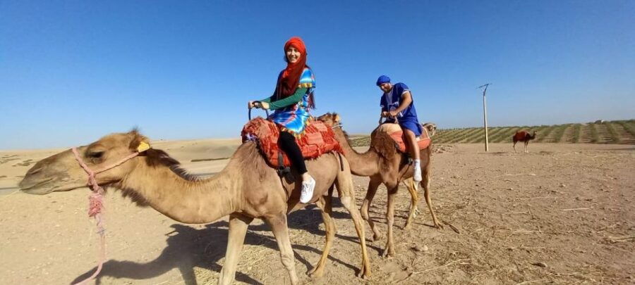 Atlas Mountains and Agafay Desert Day Trip and Camel Ride