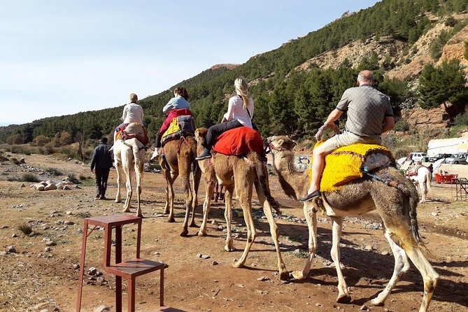 Atlas Mountains and Camel Ride Day Trip From Marrakech - Good To Know