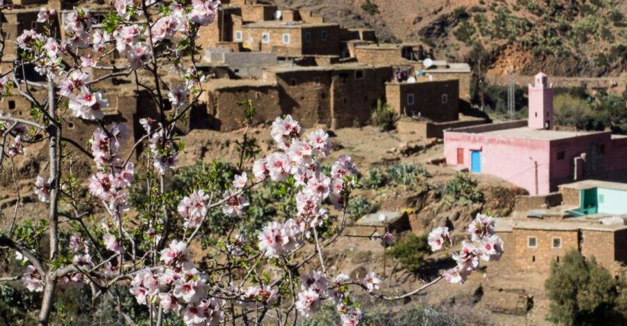 Atlas Mountains and Four Valleys Private Day Trip - Good To Know