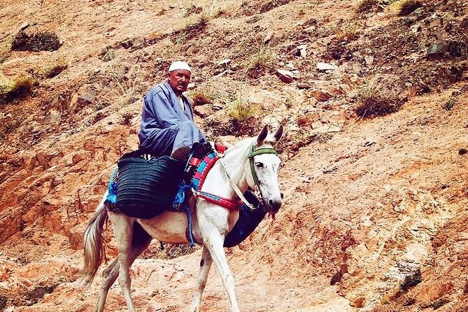 Atlas Mountains, Berber Villages and Waterfall Tour - Good To Know