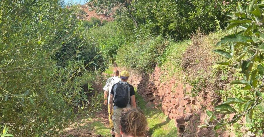 Atlas Mountains Day Trip From Marrakech - Good To Know