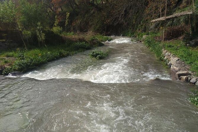 Atlas Mountains Day Trip From Marrakech - Good To Know