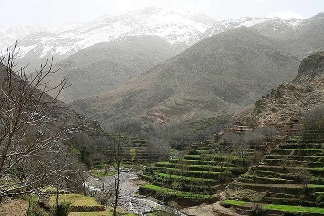 Atlas Mountains, Desert Agafay, Waterfalls and 3 Valleys - Marrakech Day Trip - Tour Highlights
