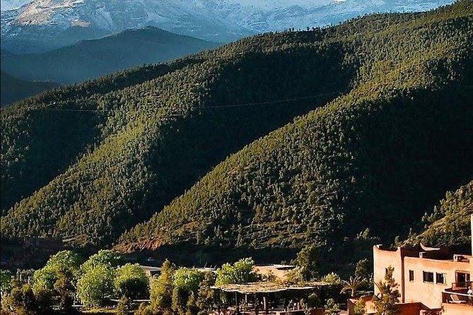 Atlas Mountains Ourika Valley Private Day Trip From Marrakesh - Tour Details