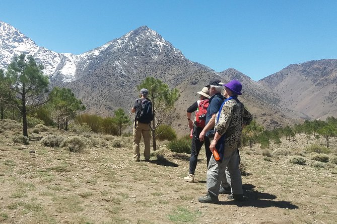 Atlas Mountains, Waterfalls and Berber Villages With a Guide - Good To Know