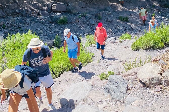 Atlas Mountiains and Waterfalls With Camel Ride Day Trip - Good To Know