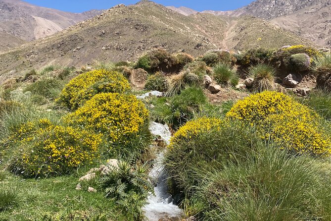 Atlas Private Day Tour and Berber Experience - Good To Know