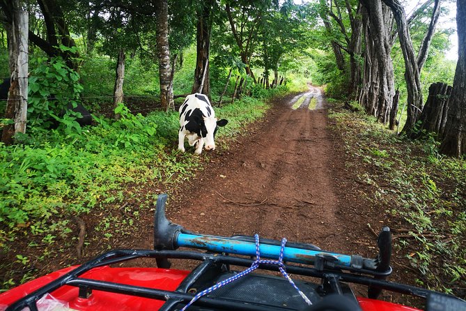 ATV Adventure From Riu, Secrets and Papagayo