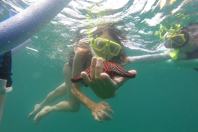 ATV and Snorkel From Playa Flamingo - Good To Know