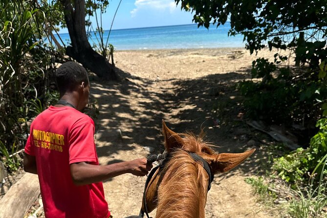 ATV, Bamboo Rafting, Horseback Ride From Montego Bay- Private - Good To Know