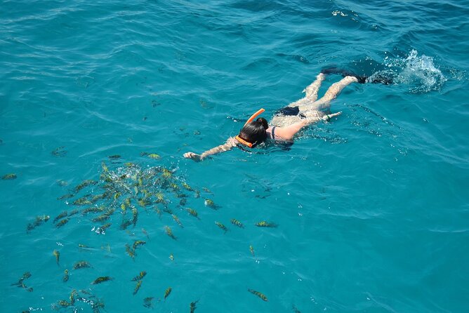 ATV, Dunn's River Falls & Catamaran Party Cruise With Snorkeling - Experience Highlights