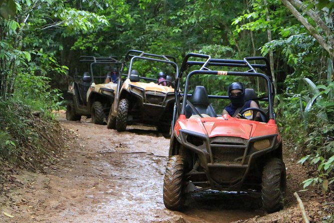 ATV Outback Adventure From Kingston
