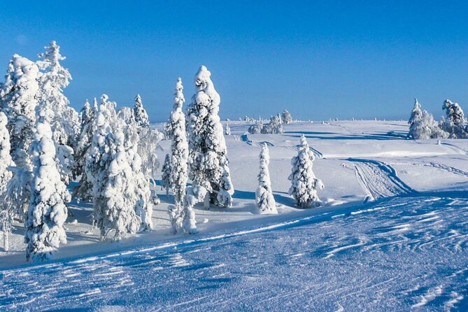 ATV Safari on Ice - Good To Know
