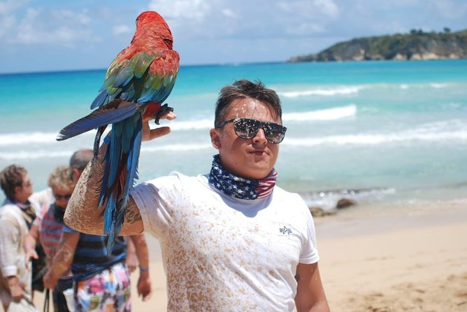 ATVs Tour - Countryside Ride River Cave and Macao Beach - Good To Know