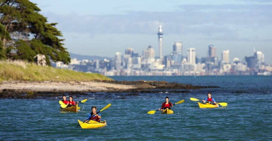 Auckland: Half-Day Sea Kayak Tour to Motukorea Island - Good To Know