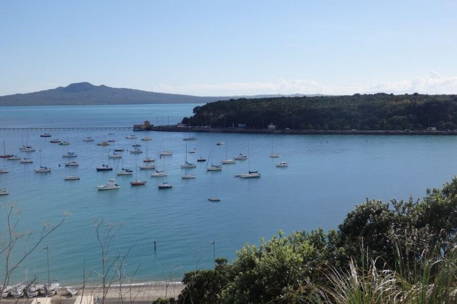 Auckland: Ship to Shore Half-Day Excursion - Good To Know