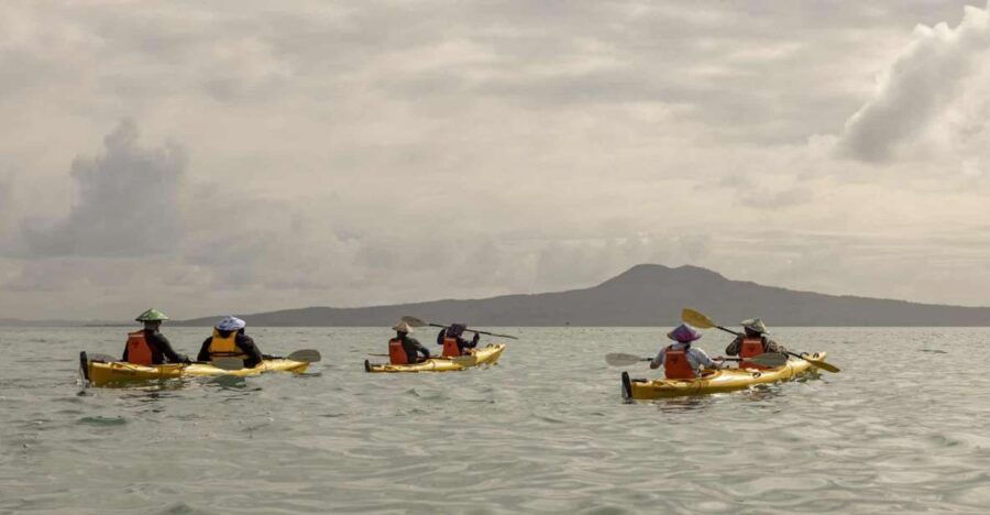 Auckland: Waiheke Island Sea Kayak Tour - Good To Know