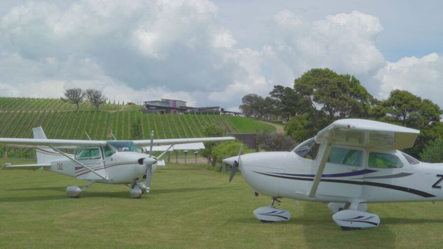 Auckland: Waiheke Island Wine and Food Tasting With Flights - Good To Know