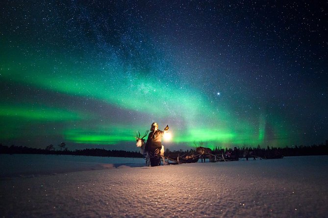 Aurora Hunting by Reindeer Sleigh - Overview and Experience