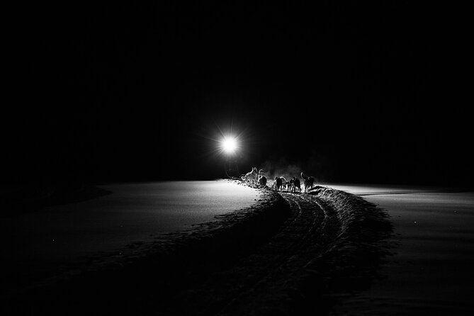 Aurora Husky Experience With 15km Sled Ride in Rovaniemi - Good To Know