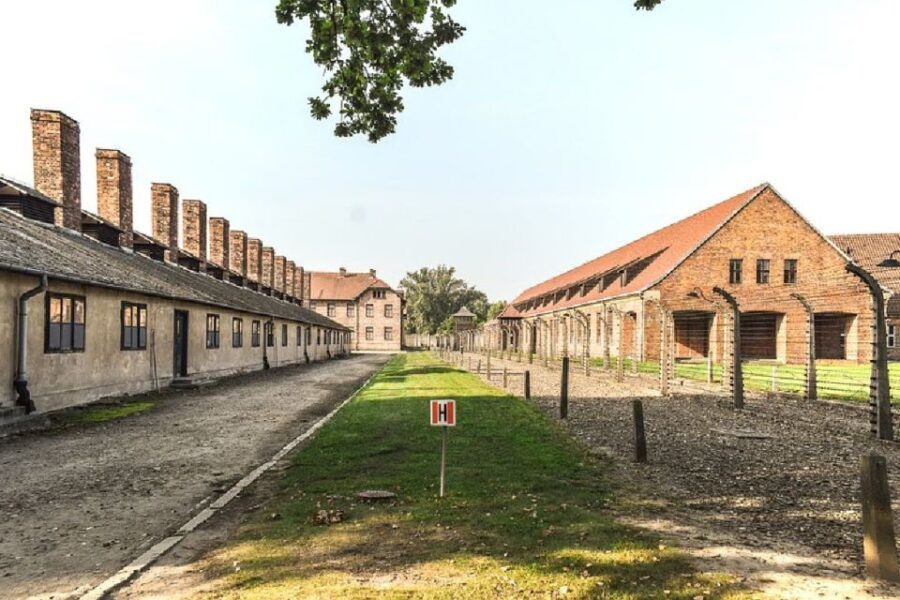 Auschwitz-Birkenau Guided Tour & Transfer From Krakow - Good To Know