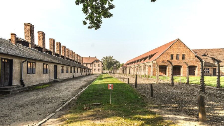 Auschwitz-Birkenau Museum Tour From Krakow - Good To Know