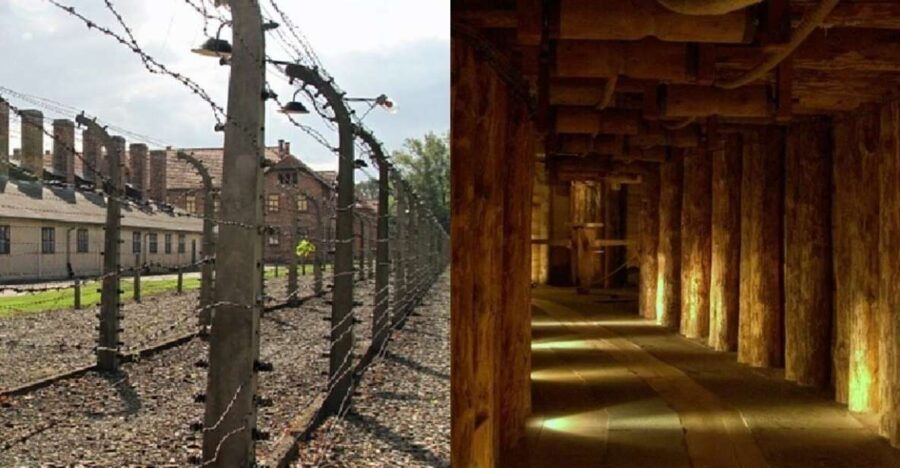 Auschwitz-Birkenau & Salt Mine Tour in One Day From Krakow - Good To Know