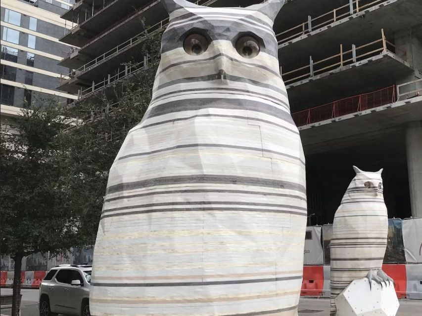 Austin: Arts Architecture City Tour - Good To Know
