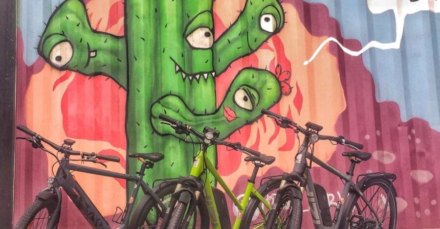 Austin: Electric Bike City Sightseeing Tour - Good To Know