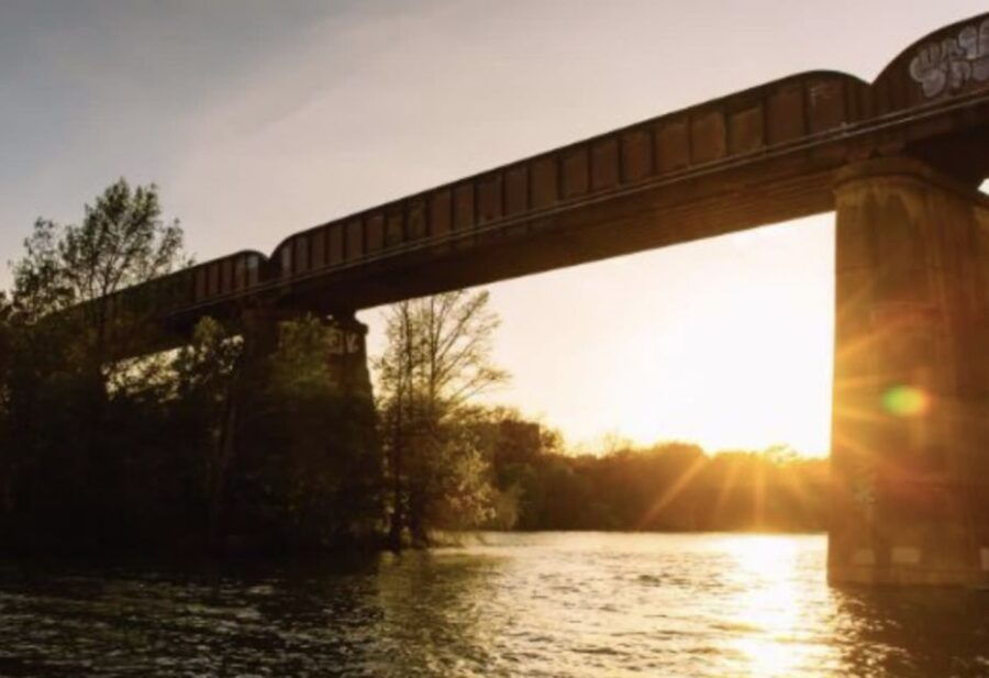 Austin: Sunset Boat Cruise With Bat Watching - Good To Know