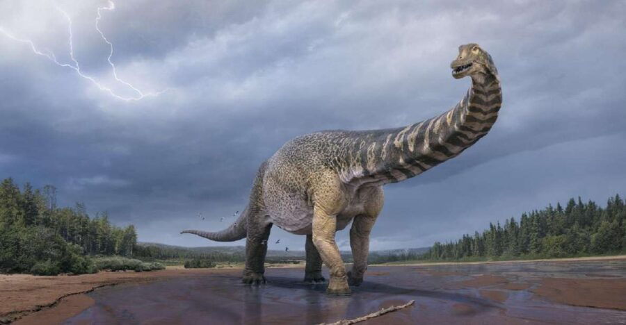 Australian Dinosaur Giants Tour