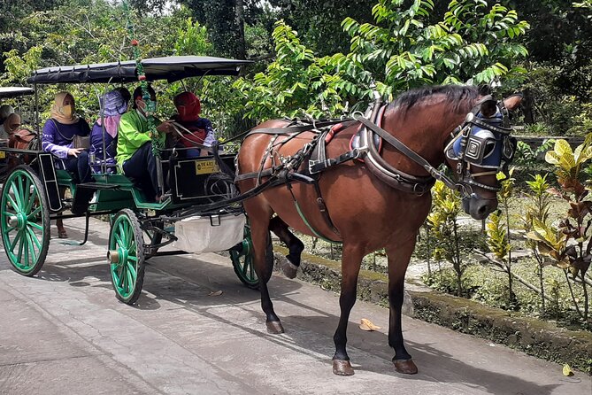 Authentic Andong Tour - Good To Know