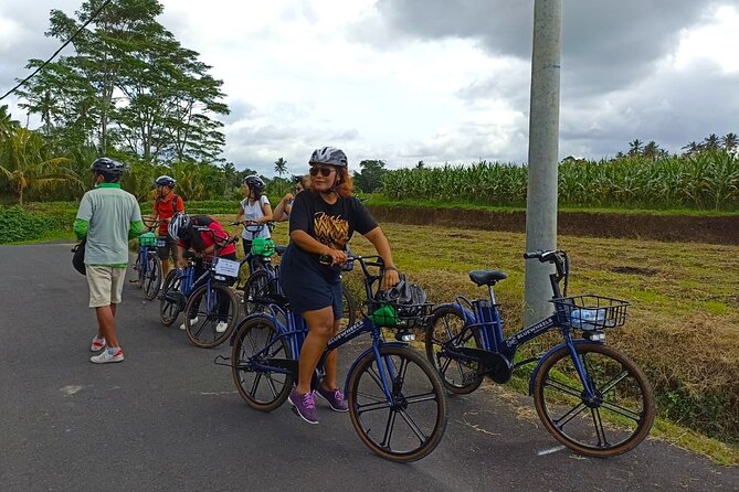 Authentic Sanur Village E-bike Tour