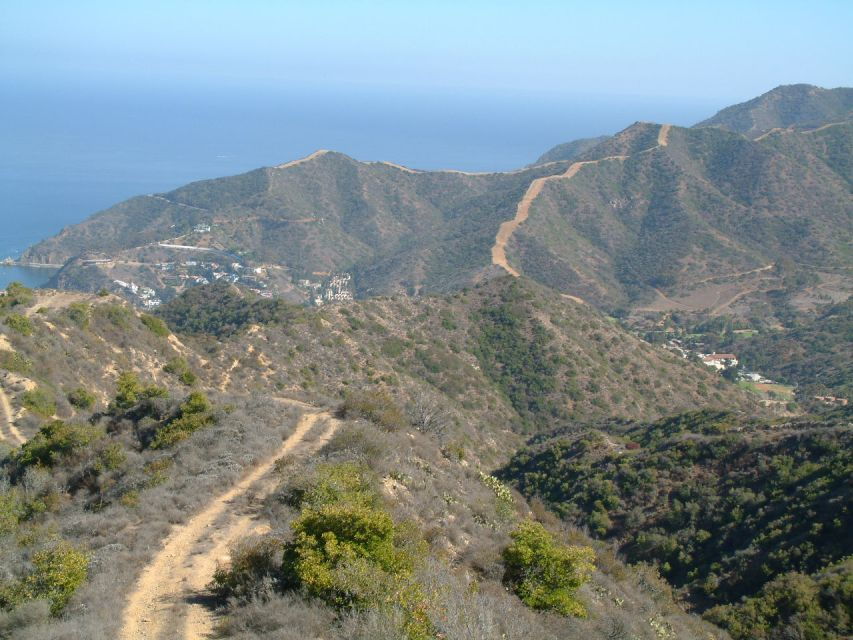 Avalon, Catalina Island: Island Adventure Tour