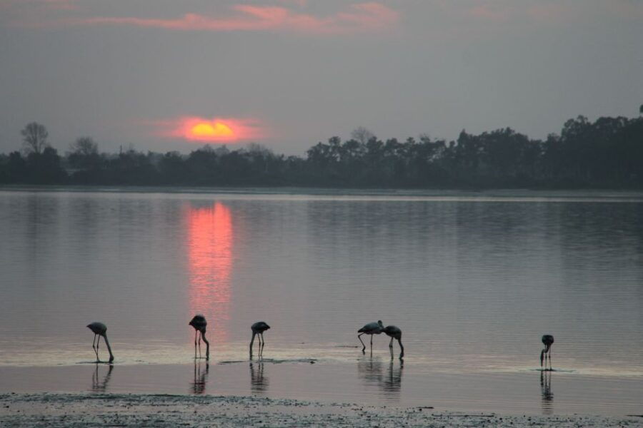 Aveiro/Coimbra Private City Tour: Meal Cruise & ALL Included - Good To Know
