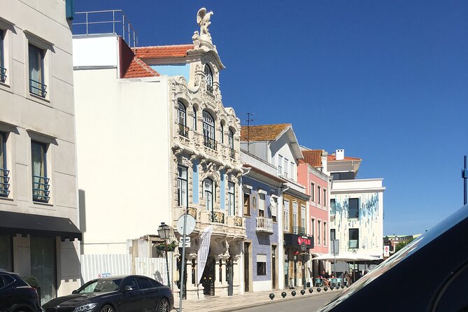Aveiro & Coimbra Private Tour Moliceiro Tour - Good To Know