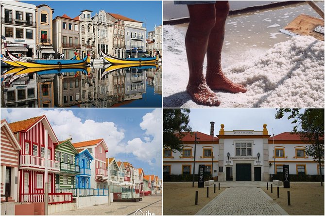 Aveiro Tour Small Group, Moliceiro Cruise, Costa Nova, Vista Alegre & Lunch - Good To Know