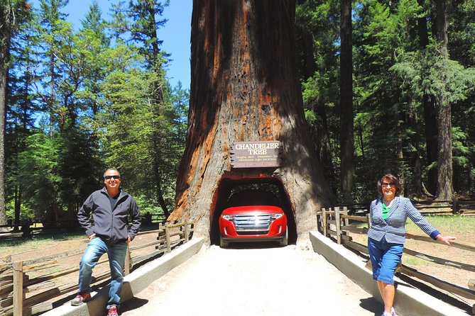 Avenue of the Giants Redwoods Private Day Tour From San Francisco - Good To Know
