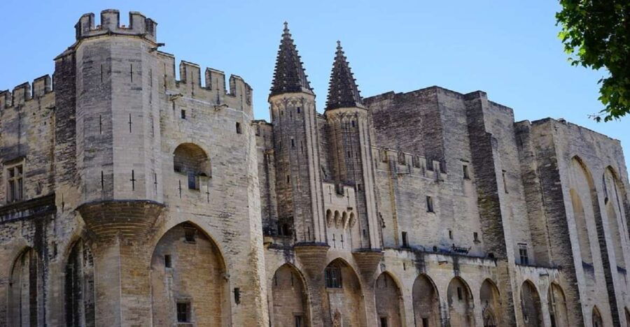 Avignon: Wine Tasting Tour - Good To Know