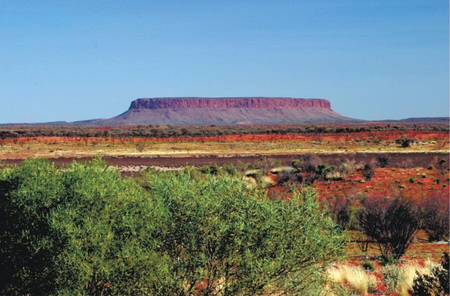 Ayers Rock To Kings Canyon Luxury Bus Transfers - Experience Highlights