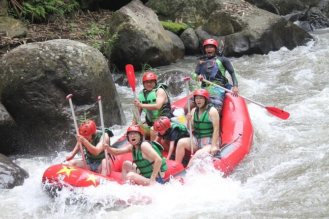 Ayung Rafting and Combination Ubud Tour Packages - Good To Know