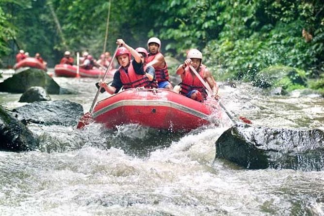 Ayung River Rafting Adventure and Ubud Sightseeing Tour - Good To Know